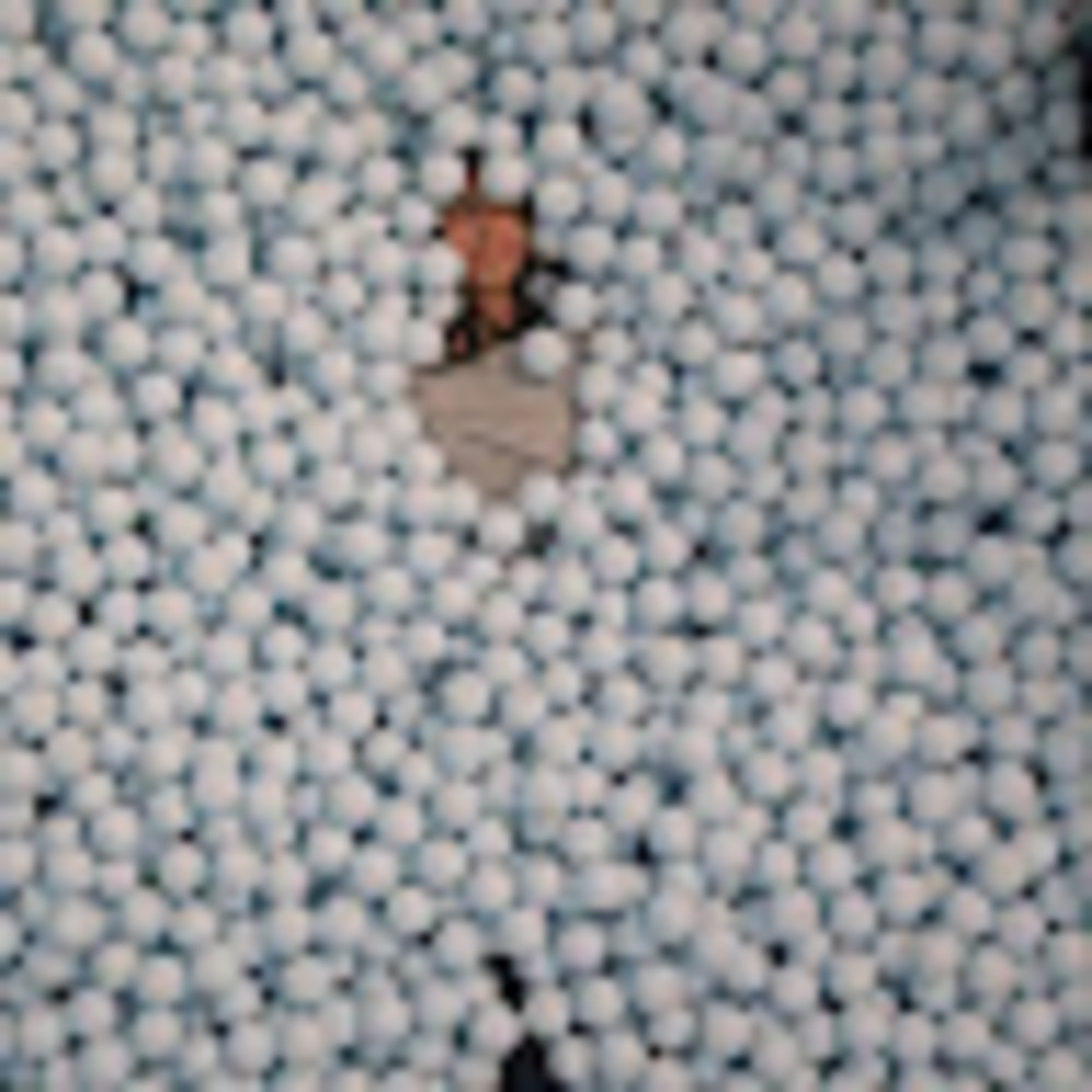 Meet your Posher, Eliana